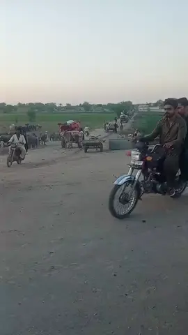 دریائے چناب 🥺 شجاع آباد #سنگت_ویڈیو_وائرل_کریسو_آپ_ہیں🥀🌼🙈✨🎇 #viralvideo #viraltiktok #fyppppppppppppppppppppppp #chanabriver 