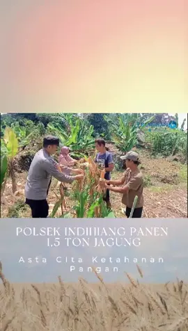 Polsek Indihiang bersama petani Sukamulya sukses panen perdana 1,5 ton jagung! Langkah nyata Polres Tasikmalaya Kota dalam mendukung program ketahanan pangan sesuai Asta Cita pemerintahan Prabowo–Gibran. Program ini bukan hanya soal panen, tapi juga wujud kepedulian Polri untuk masyarakat, membuka peluang kerja baru, dan menuju swasembada pangan Indonesia Emas 2045 🇮🇩✨ #polriuntukindonesia  #polsekindihiang  #ketahananpangan  #astacita  #indonesiaemas2045 