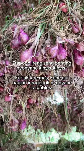 Bageono aku nyonya to 😌#petaniindonesia🇮🇩🇮🇩🇮🇩🌿🌿 #fyppp #masukbwranda #bawangmerah 