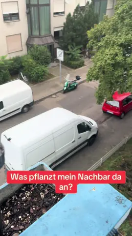 🤮🤮🤮#pflanzenart #blumen #pflanzen  #mannheim 