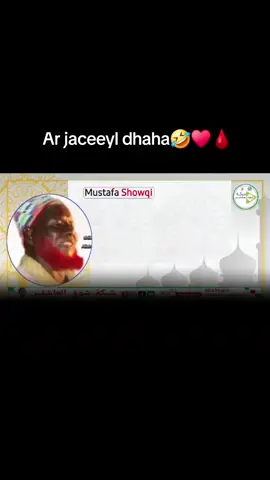 Shafka kaalay Igu Qabo🫂 #fpy #CapCut #fyp #fpyシ  @nastexo ina macalin34 🤣