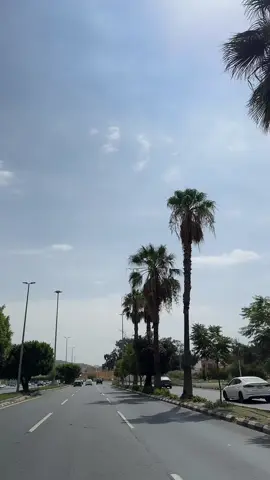 #السعوديه 