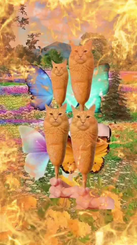 #corndogcat #cat #brainrot #ilovefent 