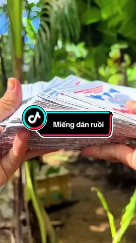 Combo 100 miếng dính ruồi tiết kiệm tiện lợi #dieumebim #keodinhruoi #miengdanruoi #dinhruoi #xuhuong 