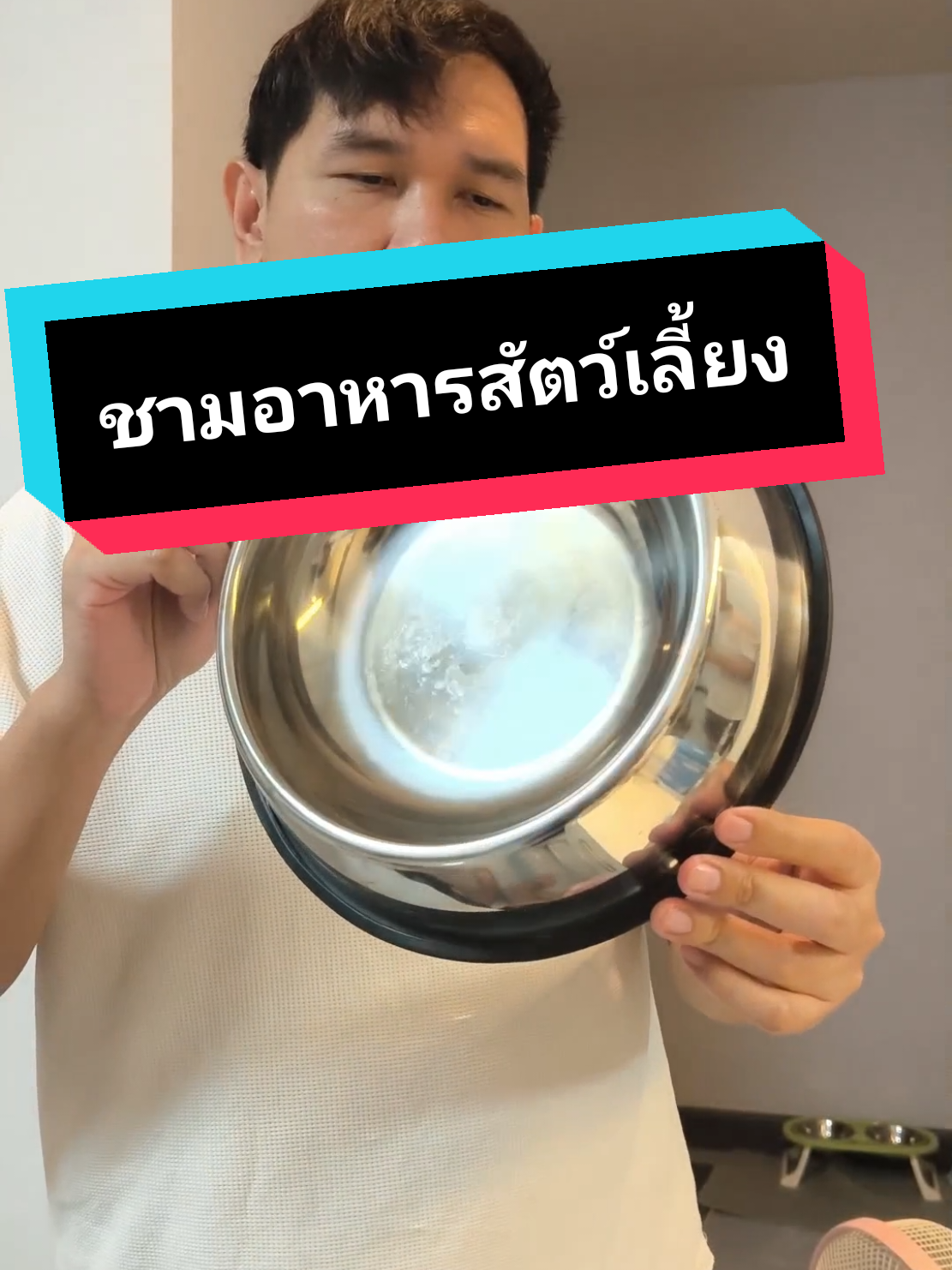 ชามอาหารสัตว์เลี้ยง ราคาถูก ไปเดินร้านขายของสัตว์เลี้ยงไม่มีราคานี้บอกเลย #ชามอาหารสัตว์เลี้ยง #ชามอาหารและน้ําสัตว์เลี้ยง #ชามให้อาหารสัตว์เลี้ยง #ชามอาหารหมาแมว #หมาแมว 