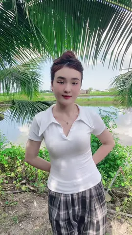 Áo thun cổ sơ mi from cổ đứng siêu đẹp #ilovetiktok #xuhuong #tiepthilienket 