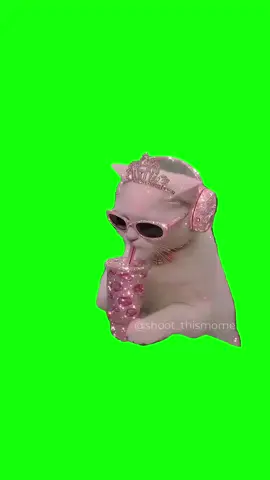 Cat sipping Green Screen Meme  Get this video in 4K with our app: GreenScreenMemes.app — now on iOS 📲  #memes #memesdaily #greenscreen #cat #meme 
