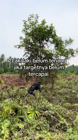 #petanikelapa🌴🌴 #petaniindonesia🇮🇩🇮🇩🇮🇩🌿  #perintisbukanpewaris  #petanimuda #pejuangrupiah  #kelapajambul #kulibapak 