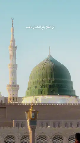 إنّ العُلا بلغَ الكمالَ بأحمدٍ ..🕊️🌱.. #اللهم_صل_على_محمد_وآل_محمد #المولد_النبوي #رسول_الله #محمد #المدينة_المنورة