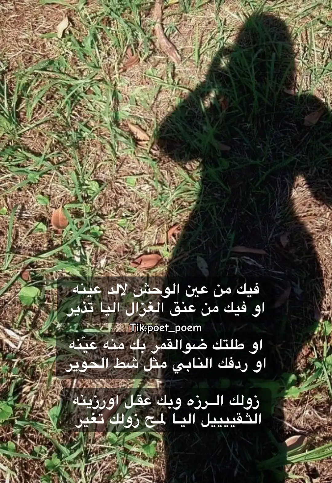 #قصيد #بوح #ابيات #سجه #شيلات #اكسبلورexplore 