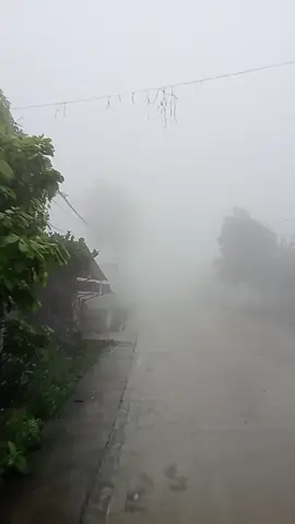 pesawaran di selimuti kabut tebal  #kabut