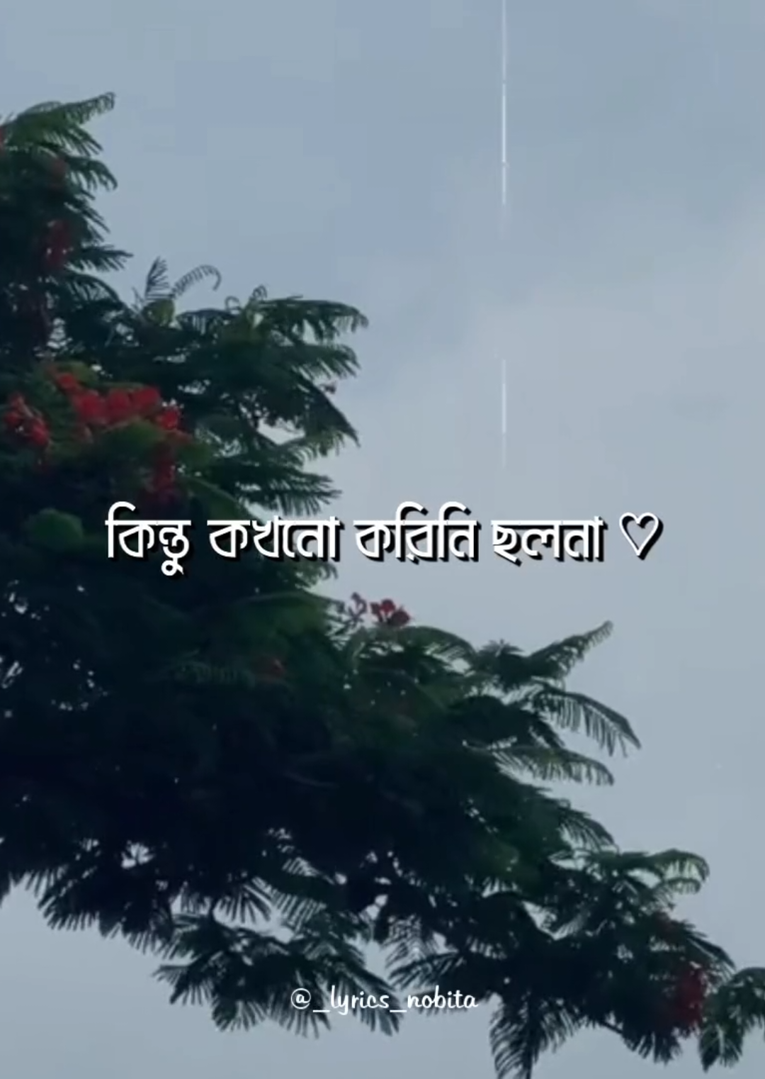 - লিখি না আর তোকে নিয়ে কবিতা ❤️‍🩹 - ছিঁড়ে ফেলেছি আঁকা সেই ছবিটা 😌 . . #foryou #lyrics #_lyrics_nobita_ #exe_shafi #aesthetic 