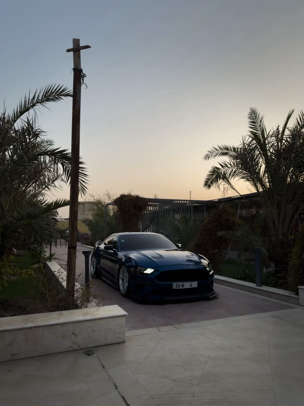 ماشاءالله 🦈💙 . #iraq #4u #trending #ford #mustang 