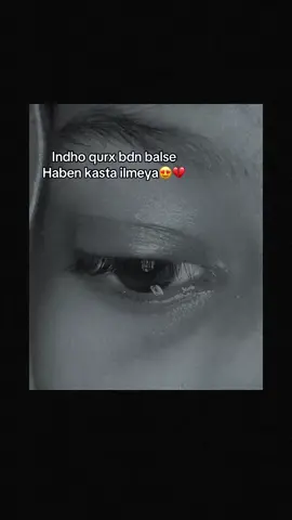 Qosal keygu waa ben🥲💔