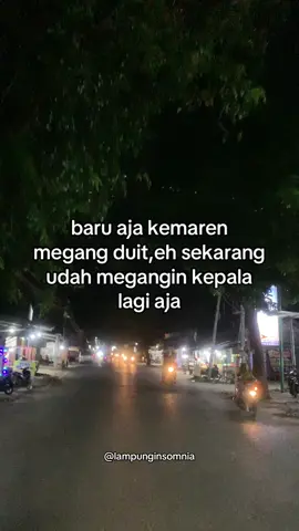 #lampung04insomnia #teratai04insomnia 