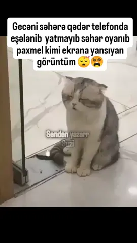 #🤣🤣🤣 