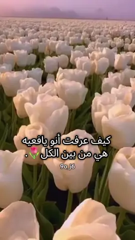 طلعو الشيله من راسي. #اكسبلور #يافعيه #viral #عدن #foryou 