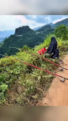 cảnh giới câu cá tối thượng #cauca #fishing #fishingx9696 