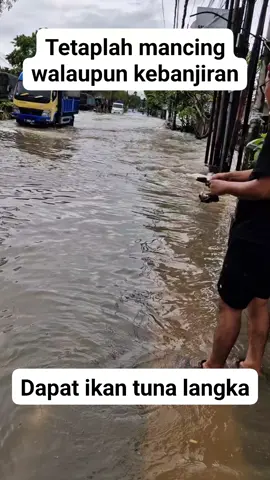 Pemancing sejati, 