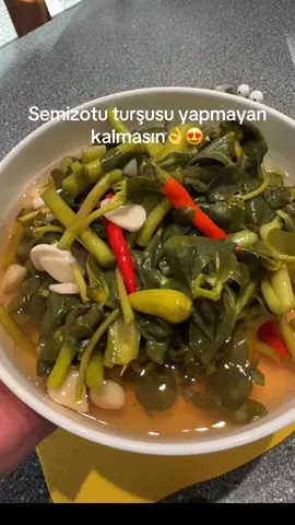 1️⃣ “Kıtır Kıtır Semizotu Turşusu 🥒✨” 2️⃣ Malzemeler: 	•	Semizotu 🌿 	•	Sarımsak 🧄 	•	Acı / tatlı biber 🌶️ 	•	Yarım çay bardağı elma sirkesi 🍏 	•	1 TK limon tuzu 🍋 	•	2,5 YK tuz 🧂 	•	1 TK şeker 🍬 	•	Kaynatılmış soğumuş su 💧 3️⃣ Hazırlık: 	•	Kavanozun dibine sarımsak & biber koy. 	•	Semizotunu doldur, aralara tekrar sarımsak & biber. 	•	Tuz, şeker, limon tuzu, sirke ekle. 	•	Su ile tamamla. 	•	Sallayıp ters çevir. 4️⃣ 1 hafta dışarıda beklet → sonra buzdolabına! 5️⃣ “Sonuç: İnanılmaz kıtır & nefis! 😍” “İlk kez denedim, bayıldım! 😍 Kıtır kıtır semizotu turşusu mutlaka deneyin! 💚 Beğenmeyi ❤️, kaydetmeyi 📌 ve paylaşmayı unutmayın 🥰 #semizotu #turşutarifi #evyapımı #pratiktarifler #turşu     