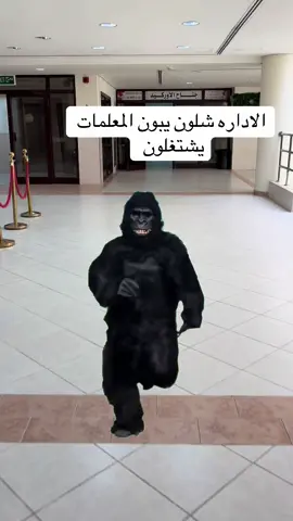 ##كويت🇰🇼 #اغوى_كويتيين🇰🇼 #كويتيه💙🇰🇼 