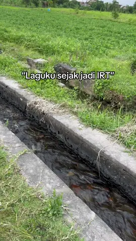 penghasilane entuk seko bojo
