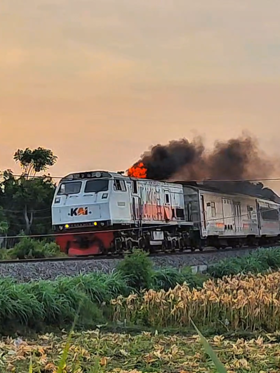 tepat waktu adalah prioritas utama dalam perjalanan kereta api, maka dibutuhkan tenaga ekstra untuk mengejar keterlambatan || ib sound @ihza.trainphtgrph || #fyp #foryoupage #lokomotifkobong #keretaapiindonesia #railfansindonesia 