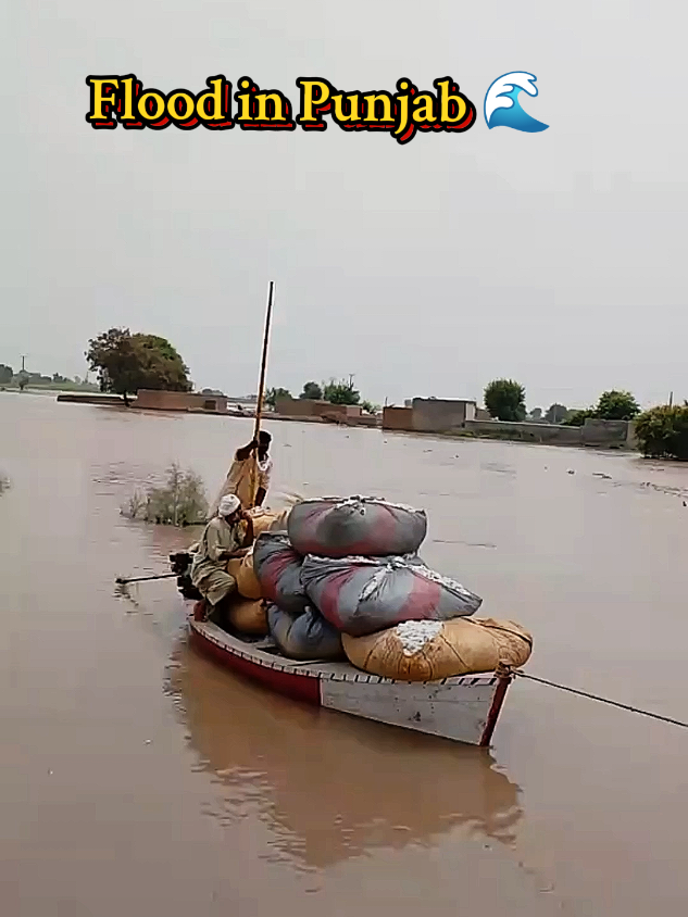 Flood in Punjab 2025🌊 #flood #floodinpunjab #destruction #today #2025 