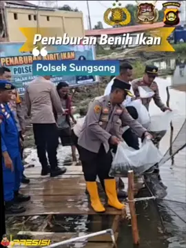 Penebaran benih ikan nila di areal pekarangan kantor Mapolsek Sungsang #polseksungsang  #polresbanyuasin  #poldasumsel 