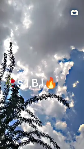 Sibi
