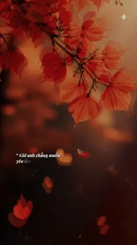 Giờ anh chẳng muốn yêu lần nữa… #tramnhacbuon_07  #BKmuzic #teamteddy  #teddyentertainment 