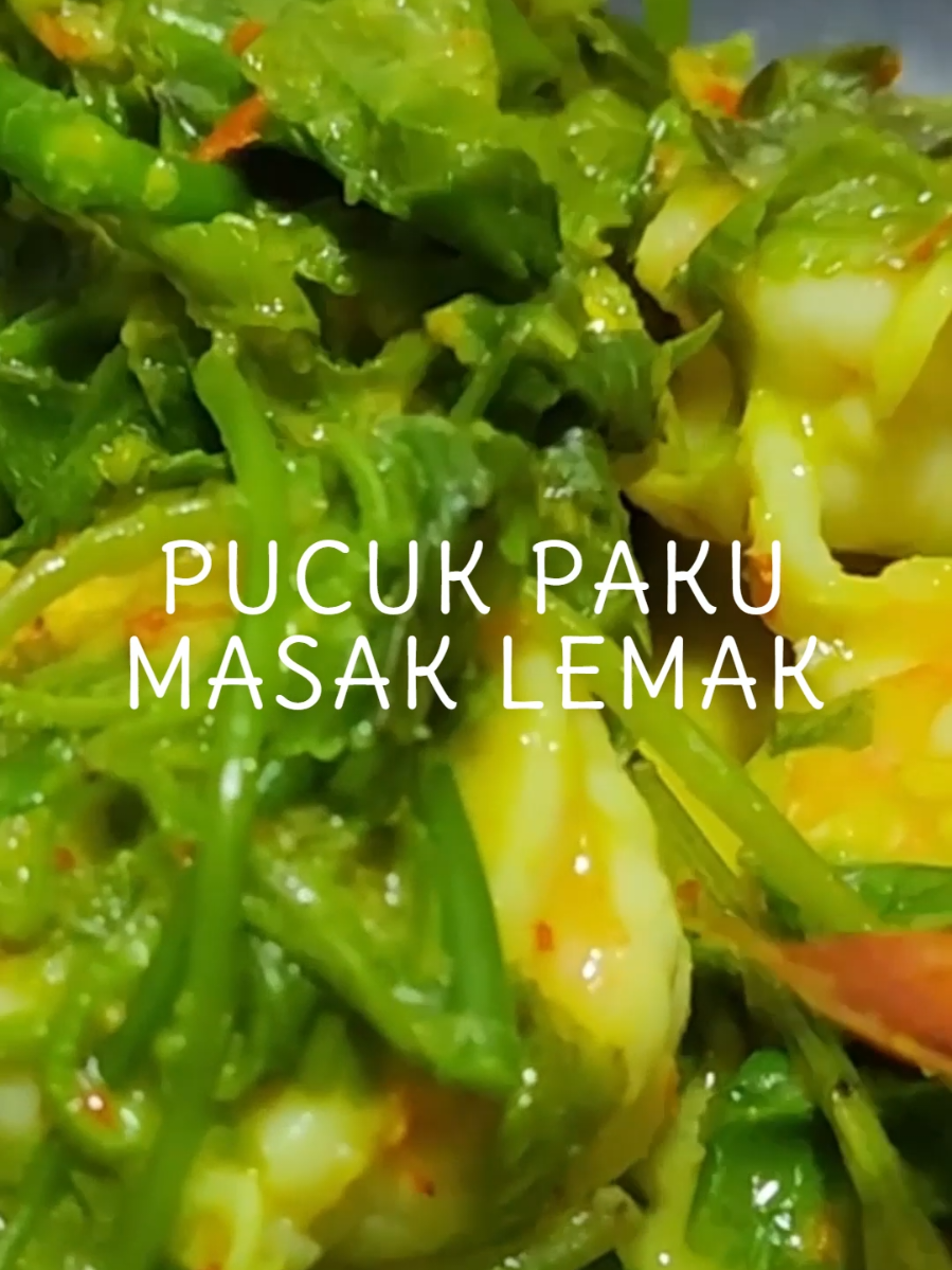 Pucuk Paku Masak Lemak #pucukpaku #pucukpakumasaklemak #sayurlemak #sayurlemakpucukpaku #resepipucukpaku 