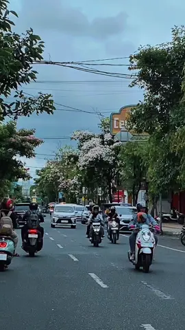 Tulungagung vibes korea #tulungagung 