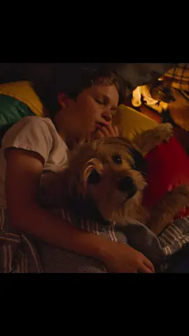 Benji #movie #drama 