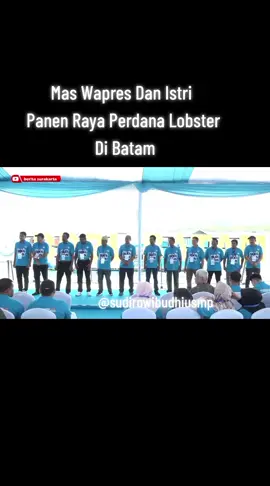 Panen Lobster Di Batam