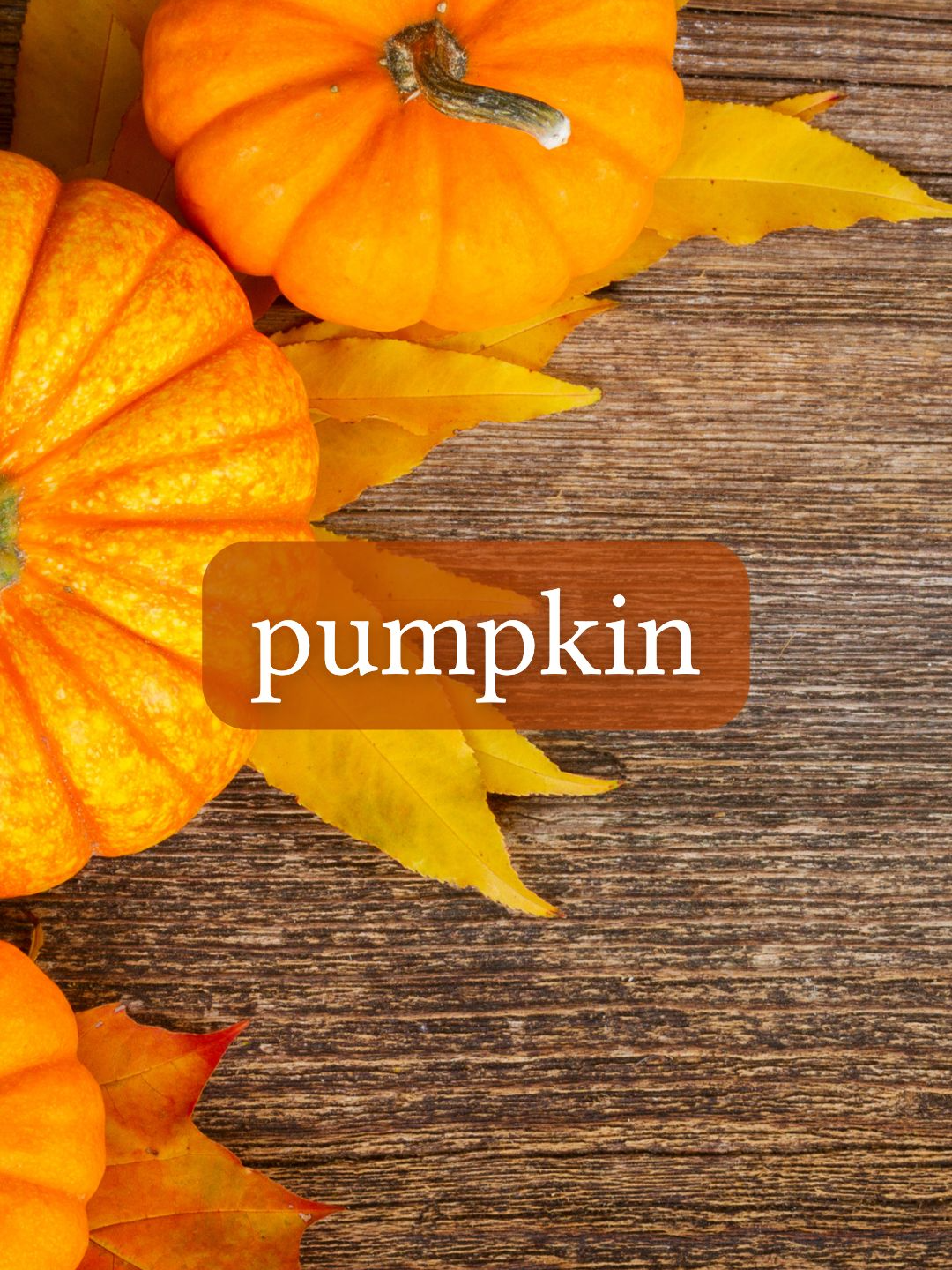 The dictionaries are wrong about “pumpkin” 🎃  #LanguageLearning #TikTokLearningCampaign #linguistics #language #etymology #LingTok #LearnOnTikTok #pumpkin #Fall #history #Native #NativeAmerican