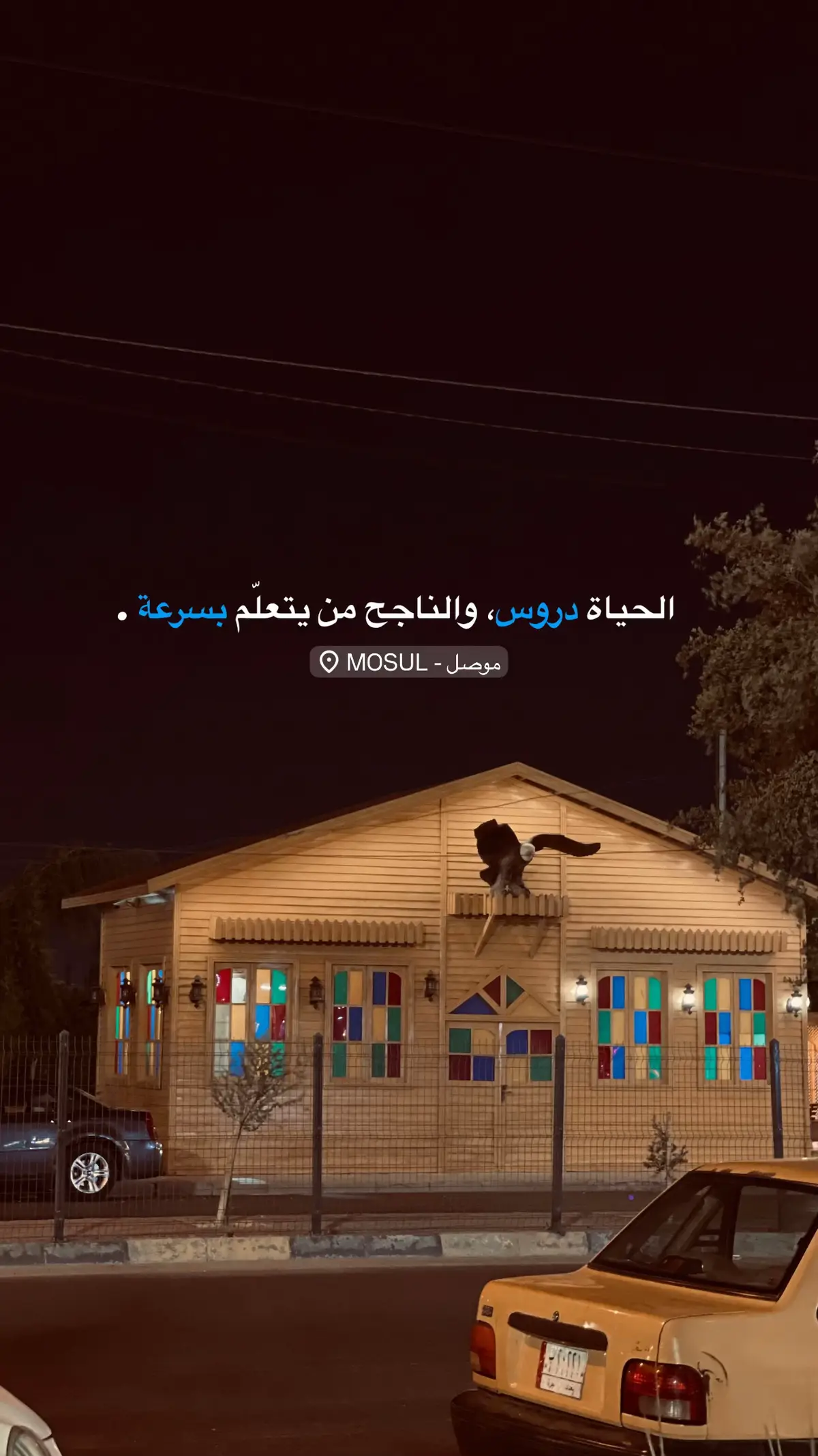#تصويري📷 #كن_ذا_أثر #شعور #مالي_خلق_احط_هاشتاقات #الشعب_الصيني_ماله_حل😂😂 
