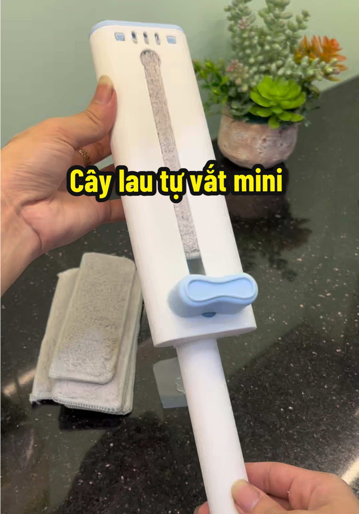 ☘️ Cây lau tự vắt mini này Rẻ lại Xịn Tiện . Ưng thật #viral #caylaudanang #caylaubep #caylautuvatmini #caylaumini 