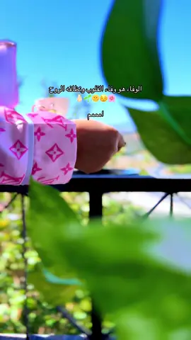 صباحات حلبيه 🌸🫰🏻🌱😌#مختلفه_بتفاصيلي🕯 #ملكة_القهوة👑☕️ #M🏹 #حلبيه #اعادة_النشر🔃 