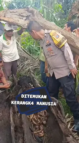 Warga Sergai Temukan Ker@ngka Manusia di Dalam Batang Pohon Aren Warga Dusun I, Desa Pematang Ganjang, Kecamatan Sei Rampah, Kabupaten Serdang Bedagai (Sergai), digegerkan dengan penemuan ker@ngka manusia di dalam batang pohon aren, Selasa (9/9/2025) sekitar pukul 16.00 WIB. Penemuan menger!kan ini pertama kali ditemukan oleh dua warga, Riyan Barus dan Aldi, saat hendak memanen buah sawit. Saat melintas, mereka melihat sebatang pohon aren tumbang dan tampak retak di bagian batangnya. “Kami lihat pohonnya retak, saat dibuka ternyata ada tulang di dalamnya. Langsung kami panggil warga dan kepala dusun,” ujar Riyan Barus. Belum diketahui secara pasti identitas dari kerangka tersebut. Namun, sejumlah barang pribadi ditemukan di sekitar lokasi, seperti handphone, celana hitam, baju biru, gelang, dan korek api. Kapolsek Firdaus, AKP Ahmad Albar, yang turun langsung ke lokasi mengatakan kerangka telah dibawa ke Rumah Sakit Bhayangkara Tebing Tinggi untuk pemeriksaan lebih lanjut. “Saat ini kami masih mendalami identitas dan jenis kelamin kerangka. Tim Inafis juga sedang melakukan pemeriksaan,” kata Kapolsek. Sementara itu, Ahmad Munir, warga sekitar, menduga ker@ngka tersebut adalah adiknya, Muhammad Yuda Prawira, 23 tahun, yang telah dilaporkan hilang dua tahun lalu. “Lokasi penemuan hanya sekitar 30 meter dari rumah kami. Handphone dan celana yang ditemukan sangat mirip dengan milik adik saya. Tapi kami masih menunggu hasil resmi,” ucap Ahmad Munir dengan nada ikhlas.  (mistar/t) #politik #tebingtinggi #sumut #Veteran  #upacarahutri 