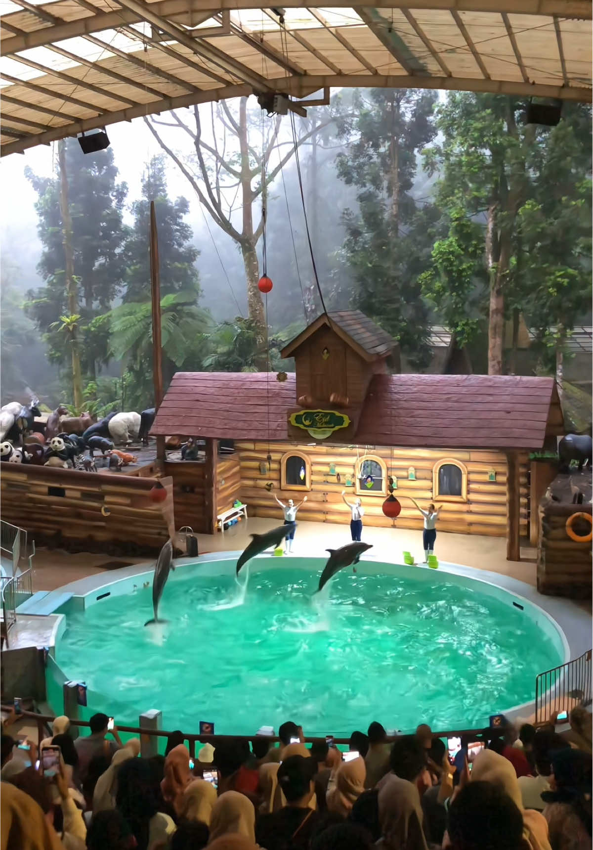 Pertunjukan lumba lumba @Taman Safari Bogor salah satu dari banyaknya pertunjukan yg bisa kalian nikmati saat berwisata kesana, Cek Taq Lokasi buat pesan tiket dan dapetin harga Promonya 😍🥰 #tamansafari #tamansafaribogor #tamansafariindonesia 