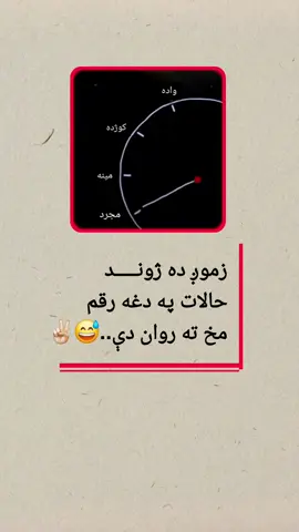 #ملتیا_مې_وکړه📚 #😅🙈 