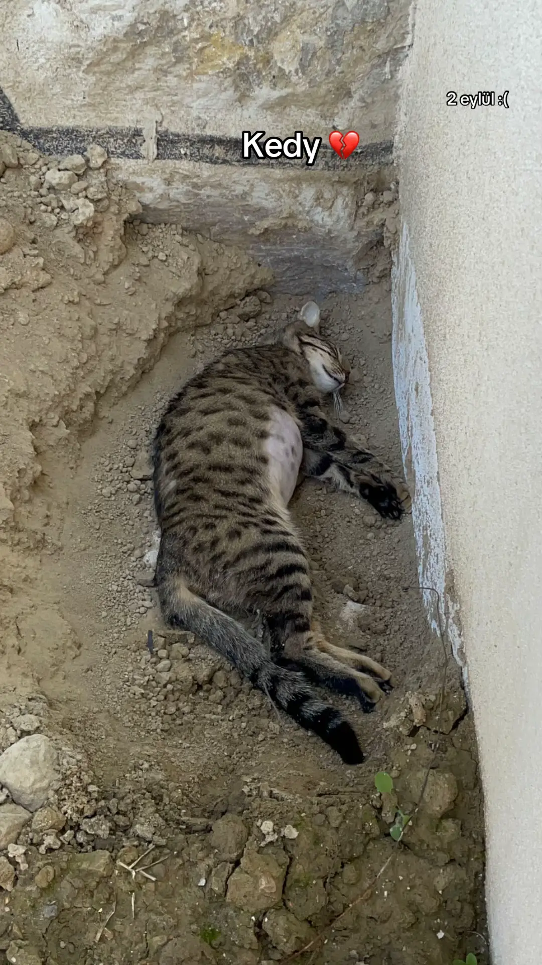 Alışamıyorum sensizliğe 💔