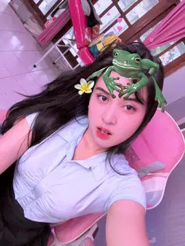 Tayank kodokkkkkk