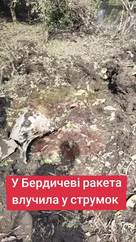 #бердичів 