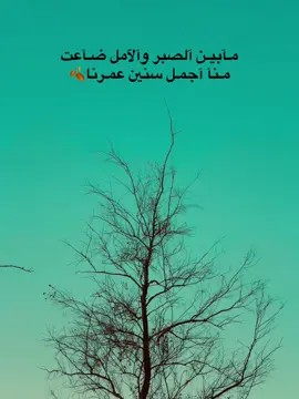 متابعه للحساب ✨🤎#fyp #شعر_عراقي 