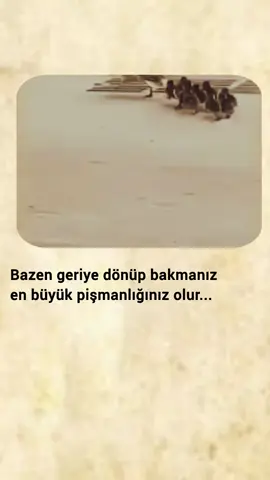 Bazen geriye dönüp bakmanız en büyük pişmanlığınız olur...🍂