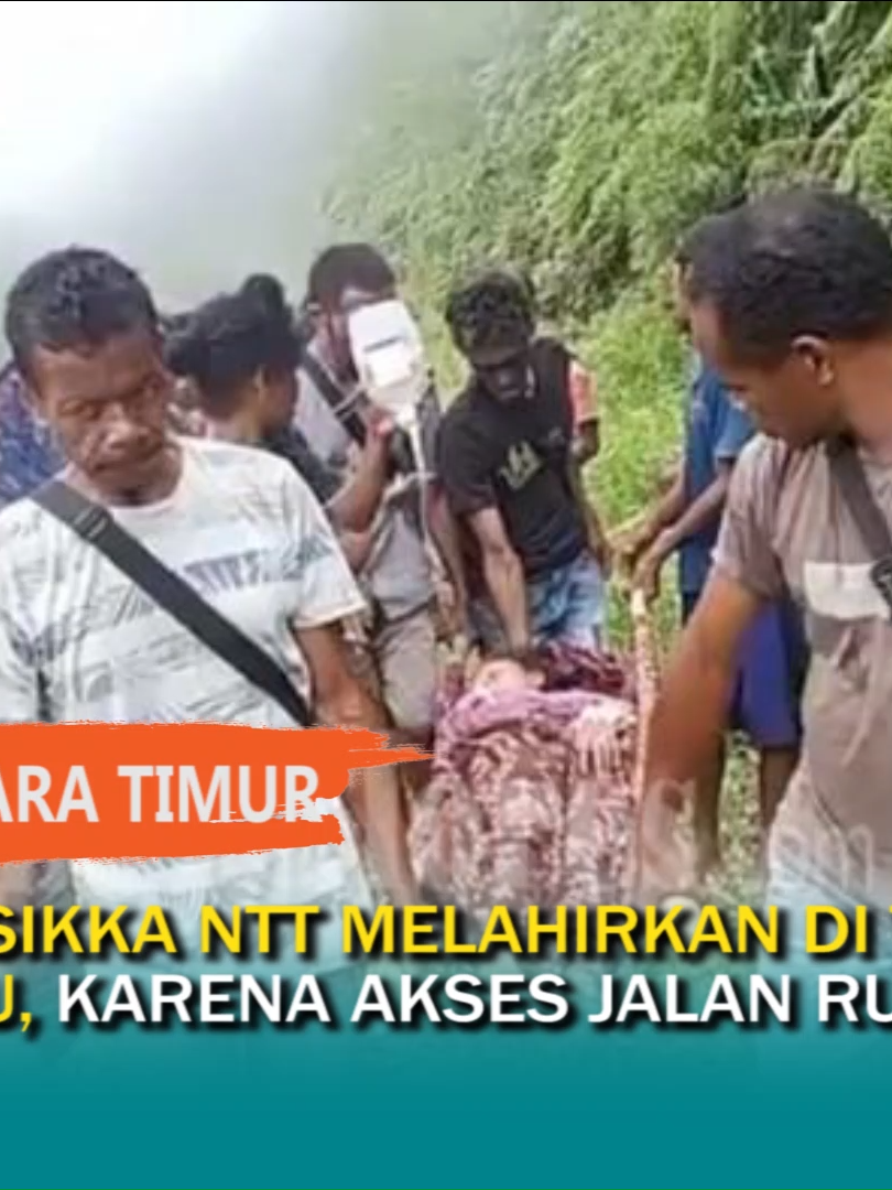 Ibu Hamil Di Sikka NTT Melahirkan Di Tengah Jalan Di Atas Tandu Karena Akses Jalan Rusak Parah #beritaterkini #AFBTV #beritaterbaru #nusatenggaratimur