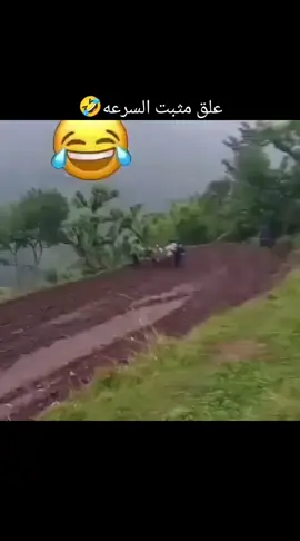 🤣🤣