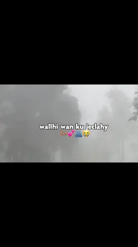 ma i jeceshahy #❤️😭  #viwesproblem😌🙏💔 